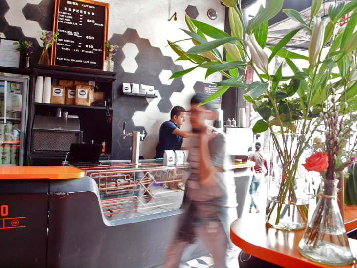 Mexico City Best Food Restaurants In Colonia Roma | The Kitchn