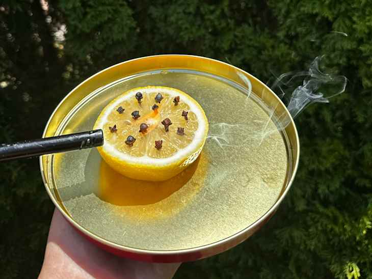 I Just Learned About This Natural $2 Mosquito Repellent (That Works ...