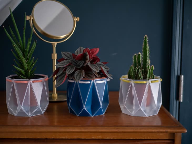 Three geometric planters with succulents and a leafy plant on a wooden dresser, next to a gold-framed mirror.