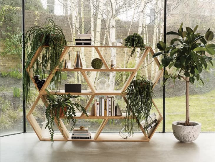 Unusual bookshelves online