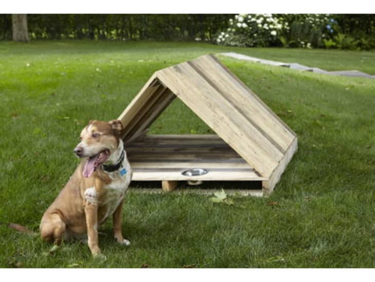 Designer clearance dog houses