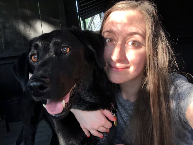 Selfie ball for shop dogs