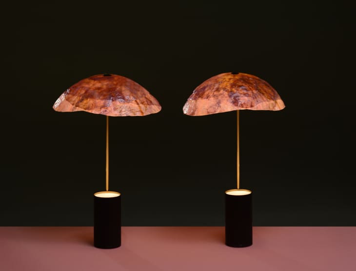 Two table lamps with textured brown shades and black cylindrical bases on a dark background.