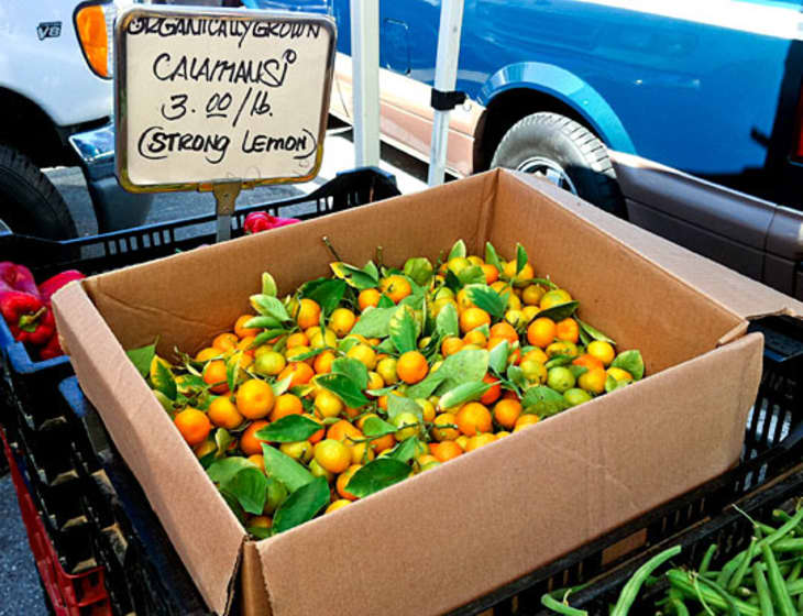 Strong and Sour: Calamansi Lemons | The Kitchn