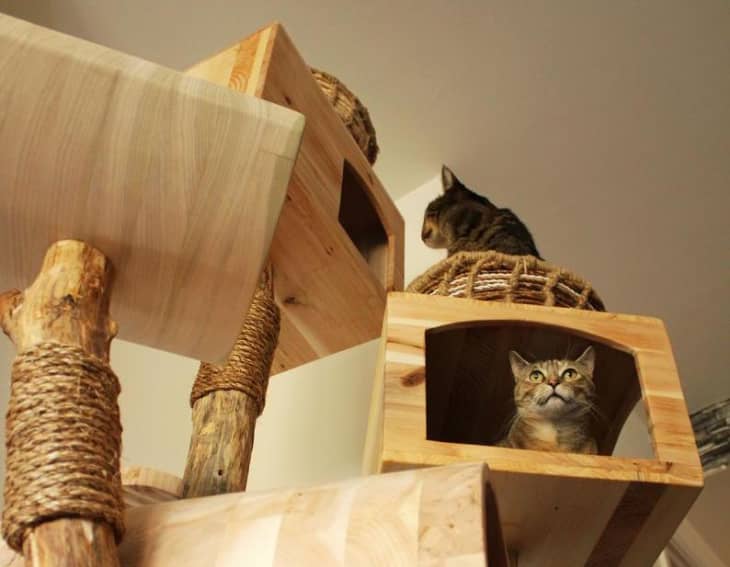 Custom Cat Furniture Handmade Cat Tree Apartment Therapy