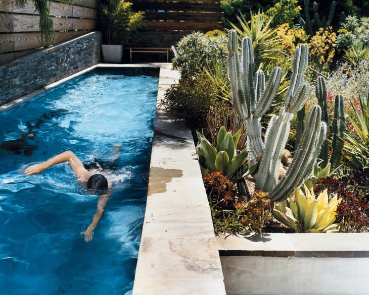 Small Space Swimming: Lap Pools - Apartment Therapy