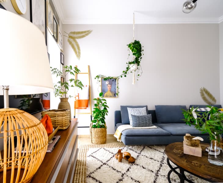 Bright living room with blue-gray sectional, Beni Ourain-like rug, and lots of plants
