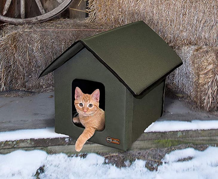 Heated cat house on Amazon Apartment Therapy