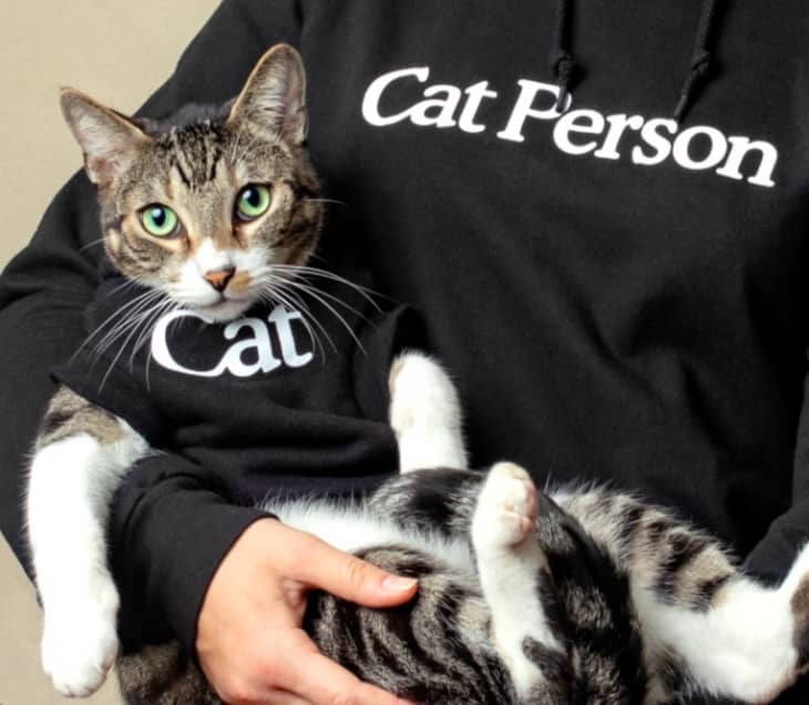 person in cat person hoodie holding cat in a cat hoodie 