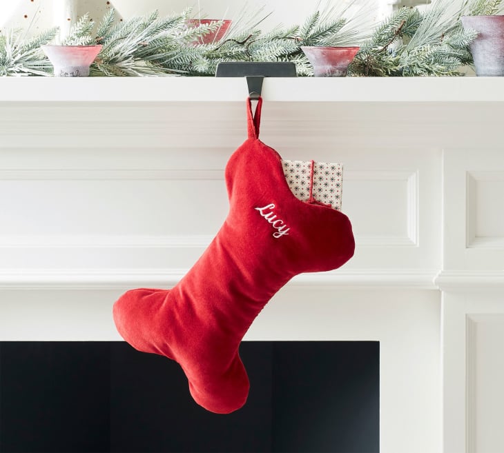 Classic Velvet Bone Pet Stocking: Pottery Barn