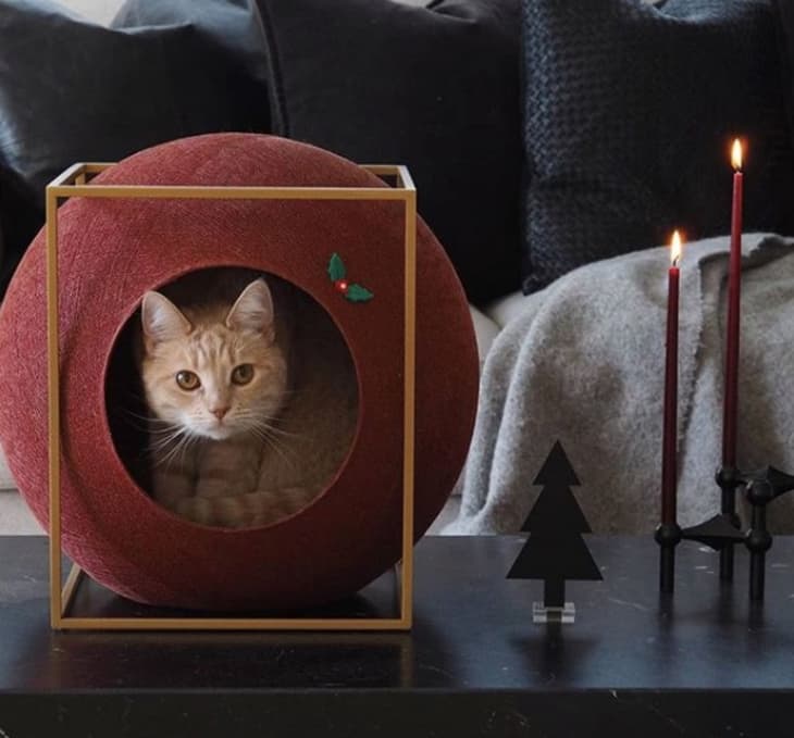 Therapeutic outlet cat beds