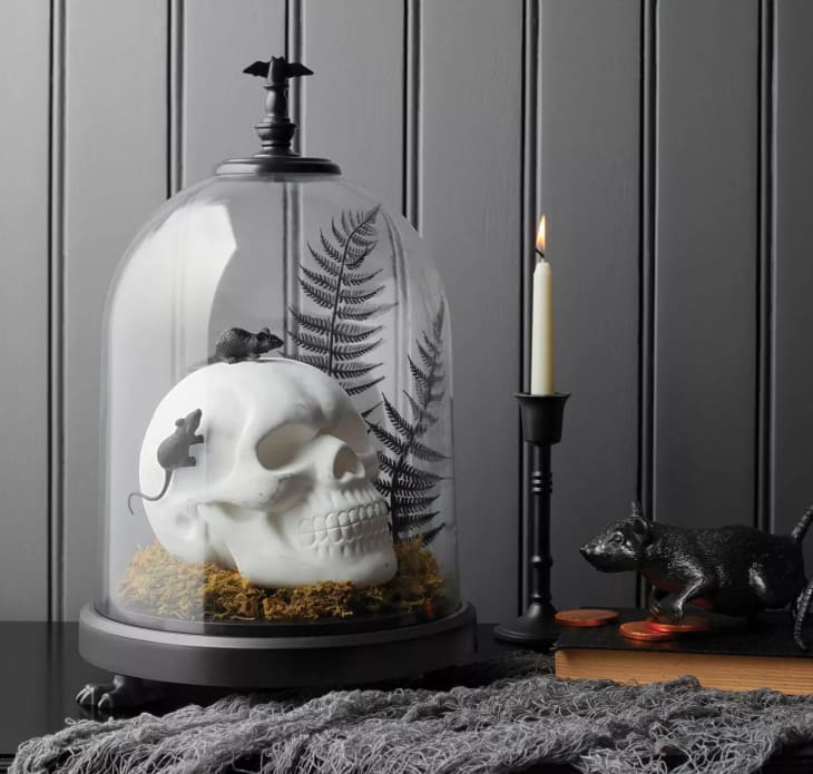 The gothic store collection halloween props