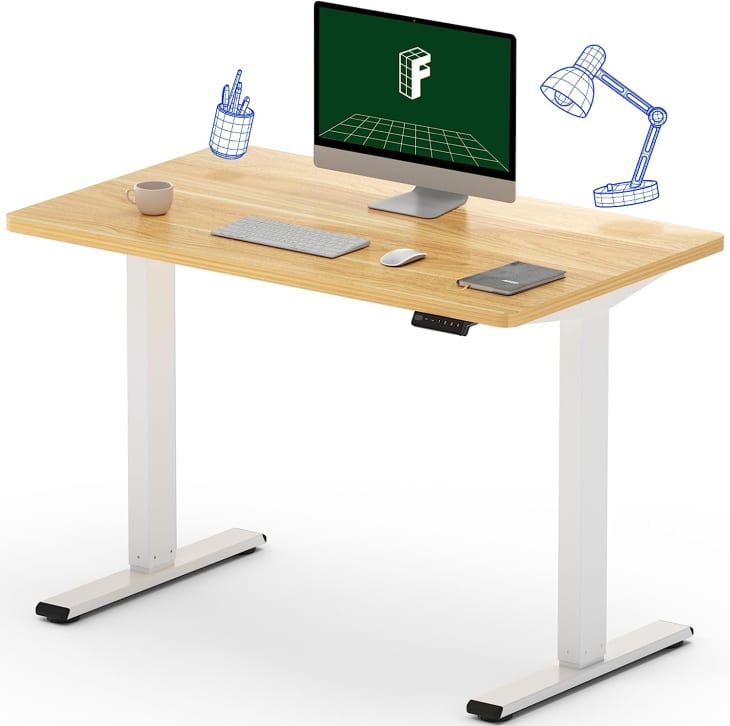 Product Image: FLEXISPOT EN1 Electric Adjustable Height Desk
