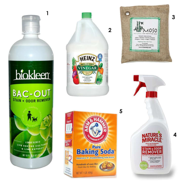 Green Home Eco Cleaning - Baking Soda - The Everyday Miracle