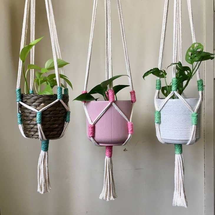 three potted plants in macrame hanging plant holders with dyed accents