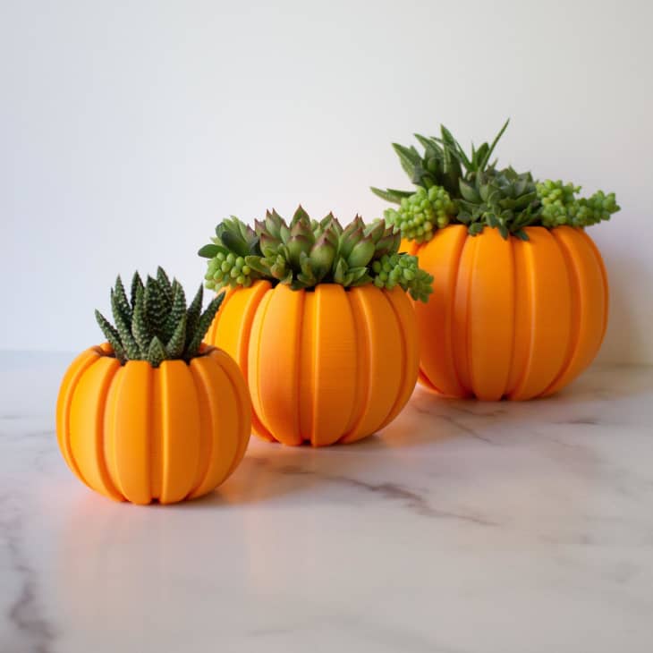 Three orange pumpkin-shaped planters with green succulents on a marble surface.