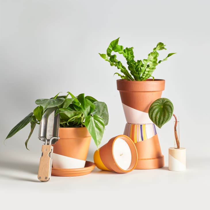 Terracotta pots with green plants, a striped candle, and a garden trowel on a light surface.