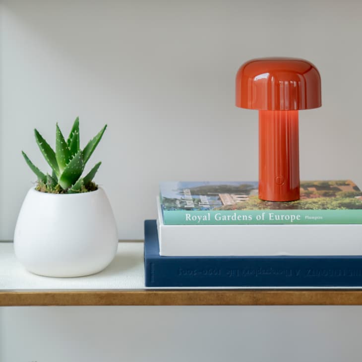 Orange mushroom lamp on stacked books beside a potted aloe plant.