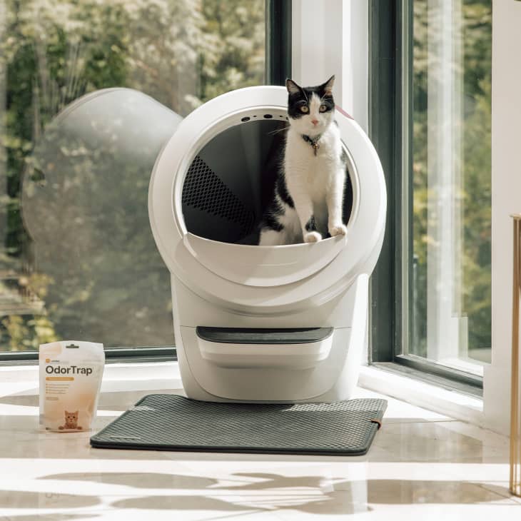 Cat litter box automatic cleaner review sale