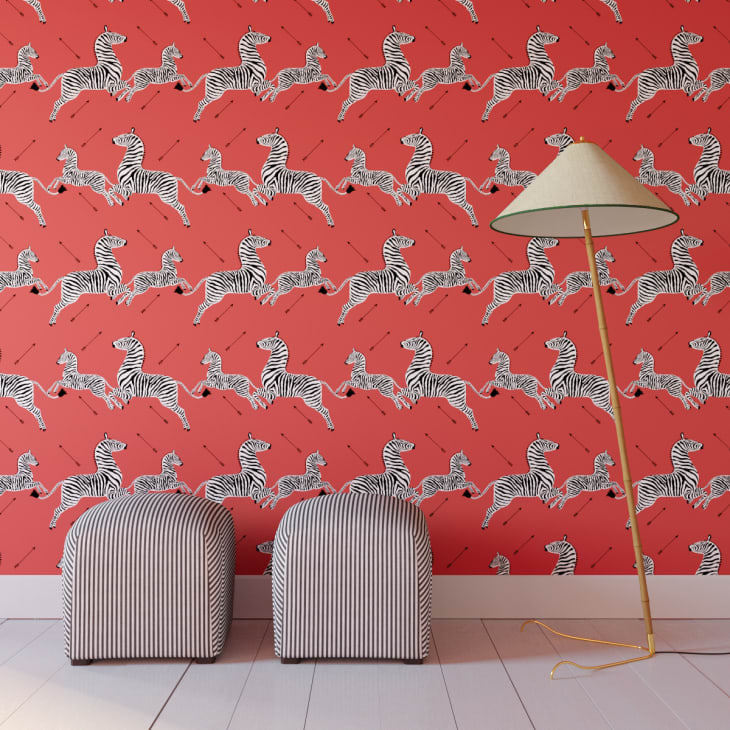Royal Tenenbaums Zebra Wallpaper PeelandStick Scalamandre The Inside