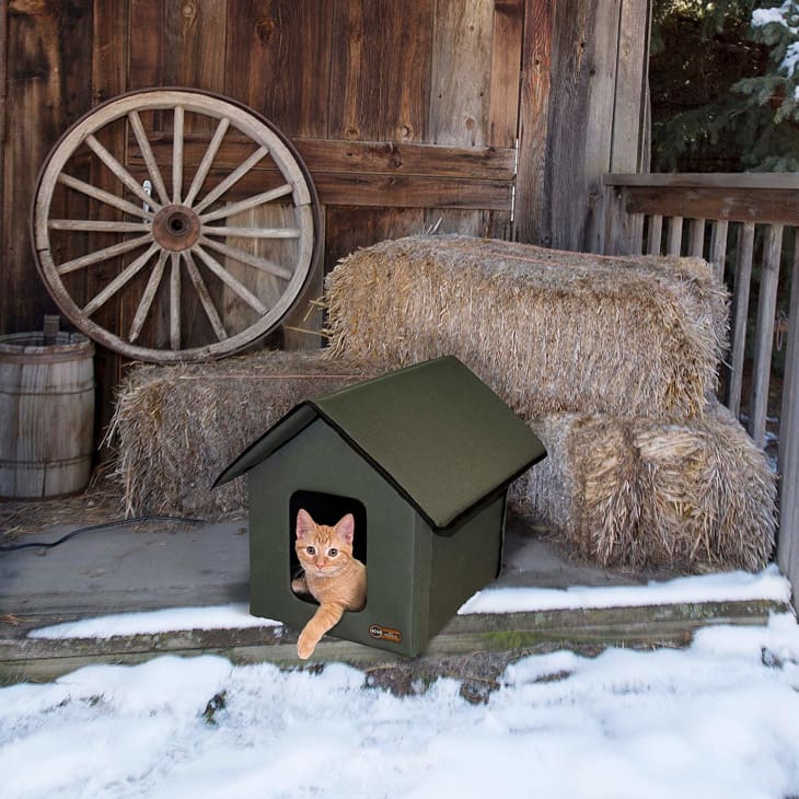 Insulated heated cat discount house