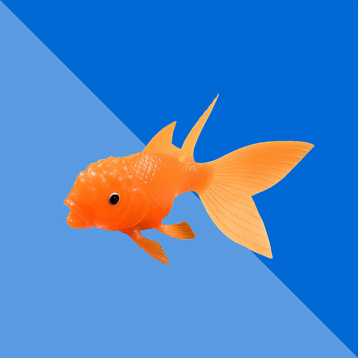 Product Image: Light-Up Goldfish