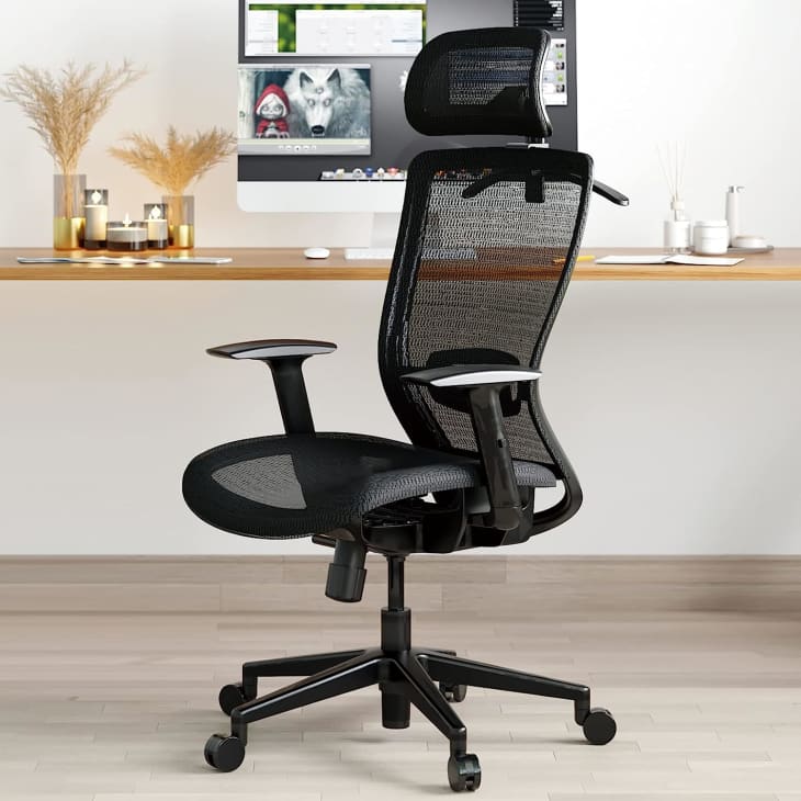 Product Image: FLEXISPOT Ergonomic Office Chair