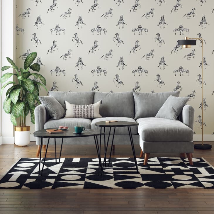 I Tried The Novogratz Room In a Box Collection Apartment Therapy