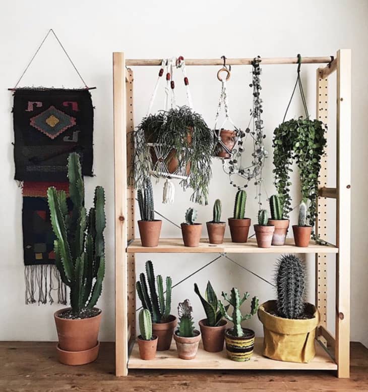 20 Genius Practical Ikea Plant Hacks Diys You Need To Try Life