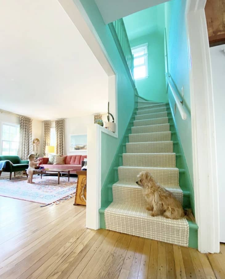 Stairway painted mint green with dog at bottom step