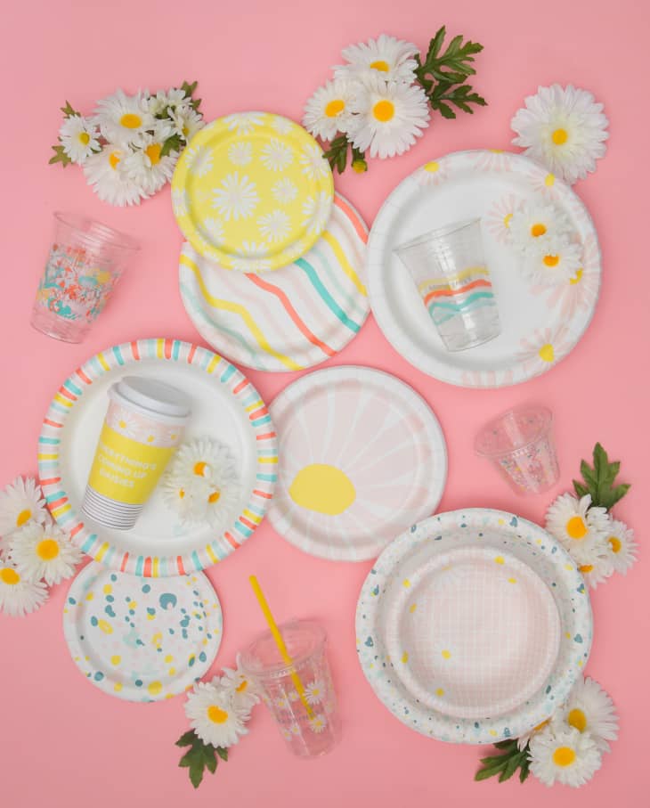 Paper plates clearance at target