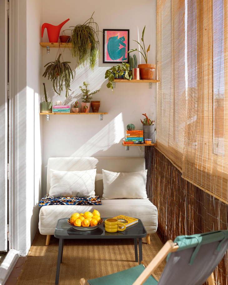Vibrant Blooms in Compact Spaces