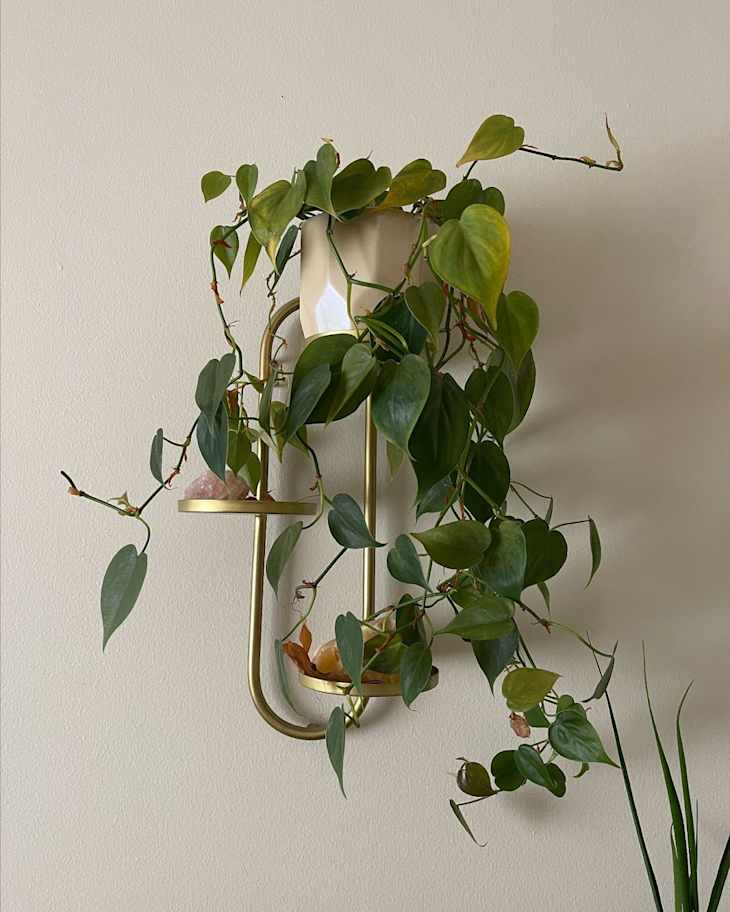 This Urban Outfitters Plant Stand Is So Perfect for Small Spaces |  Apartment Therapy