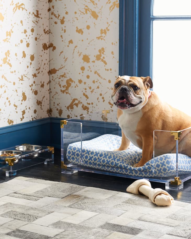 10 Things Design Obsessed Dog Lovers Need in Their Home