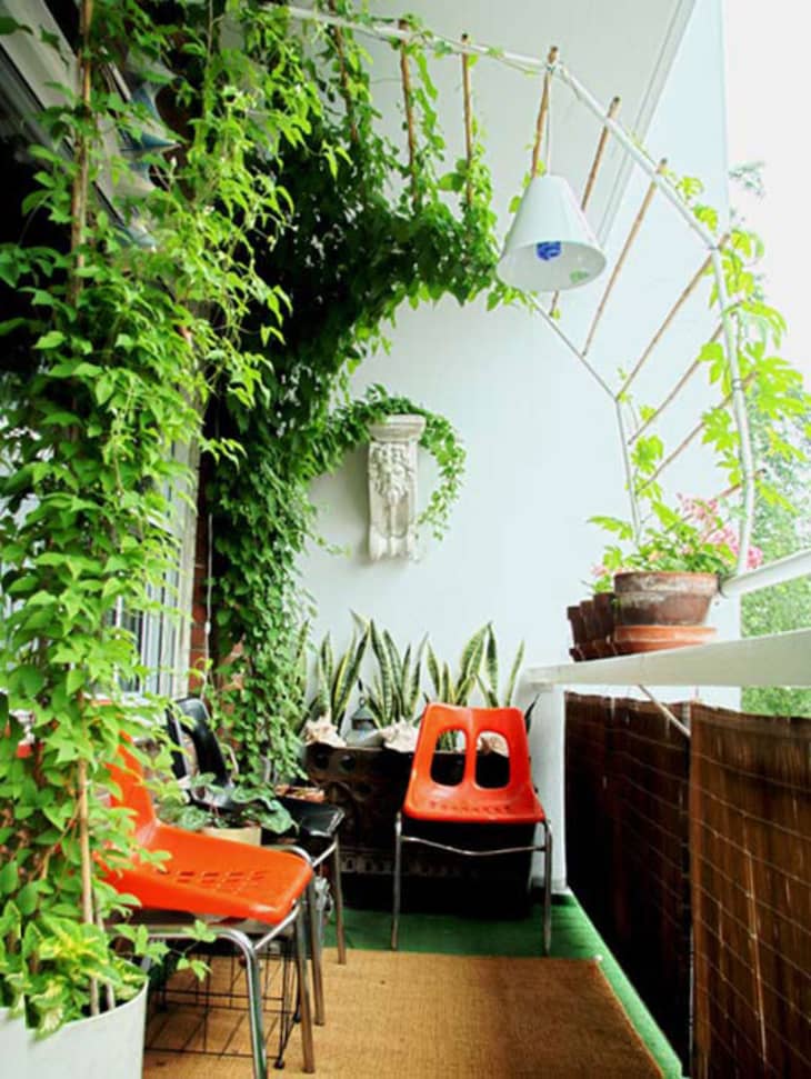 The Best of Vertical Gardening: Inspiration, DIY, & Resources
