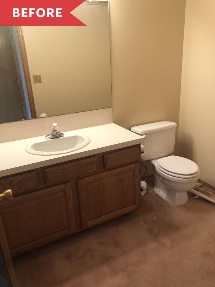 Small bathroom with beige walls, wooden vanity, white sink, and toilet. Brown carpet flooring and large mirror above sink.
