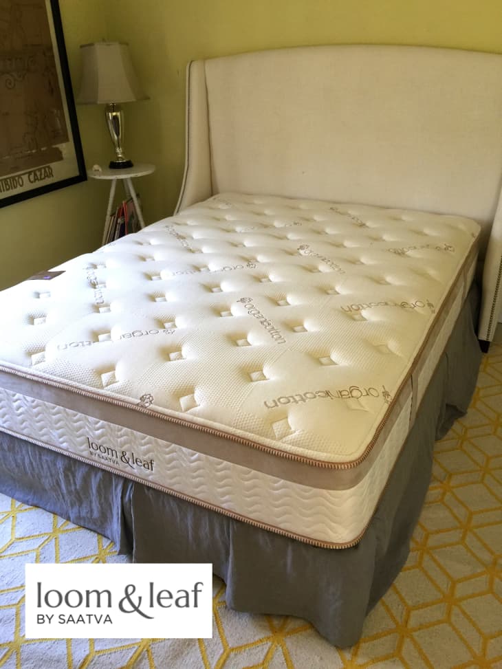 Sealy maxwell shop traditional spring mattress