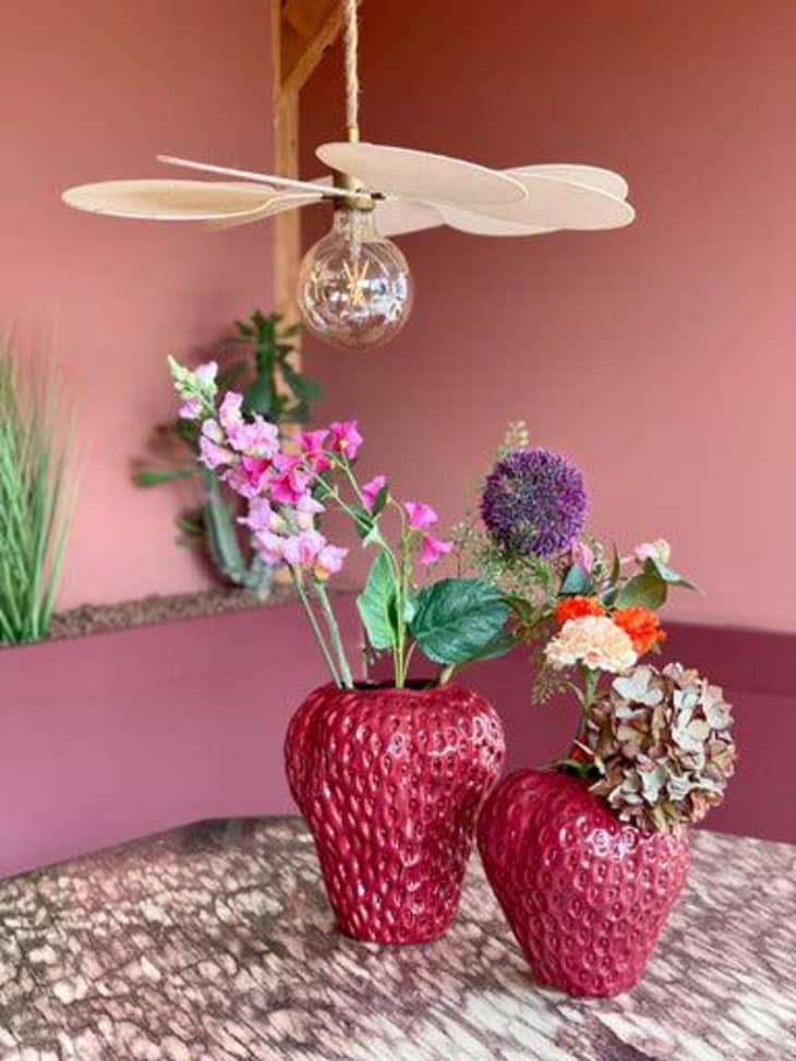 Amazon.com: DN DECONATION Pink Strawberry Vase for Flower