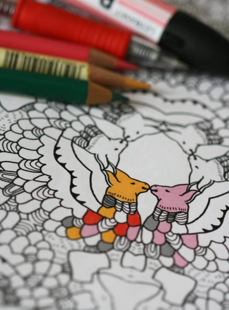 Adult Coloring Books: 12 Beautiful Ones to Try | Apartment Therapy