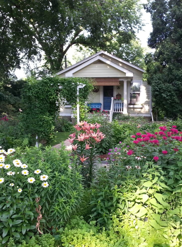 Back Yard Triage: 5 Steps to Bring Any Outdoor Space Back to Life