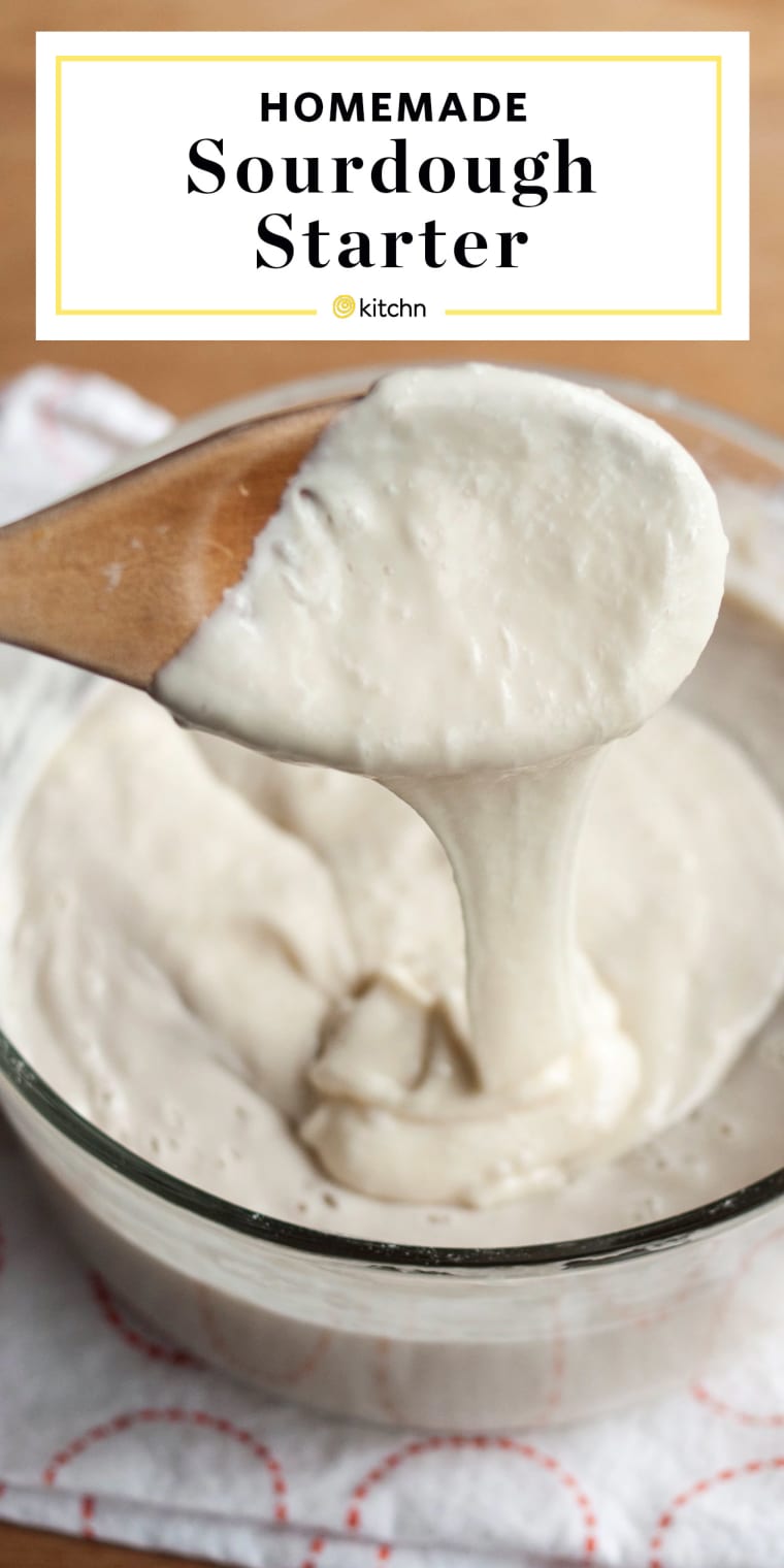 sour dough starter