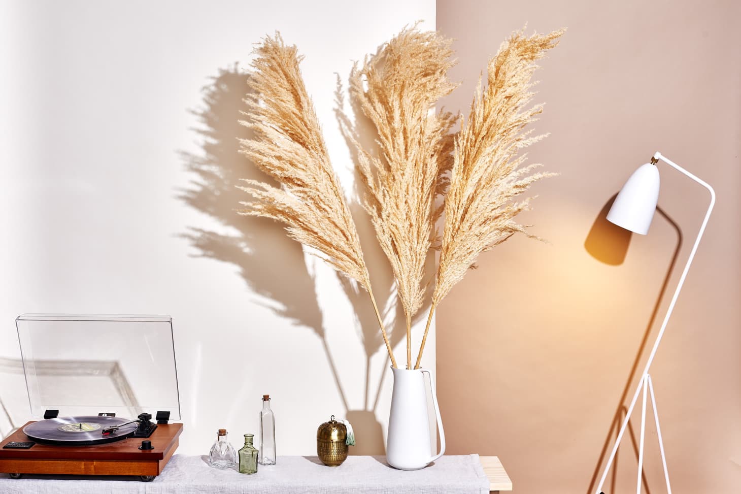 pampas grass in living room