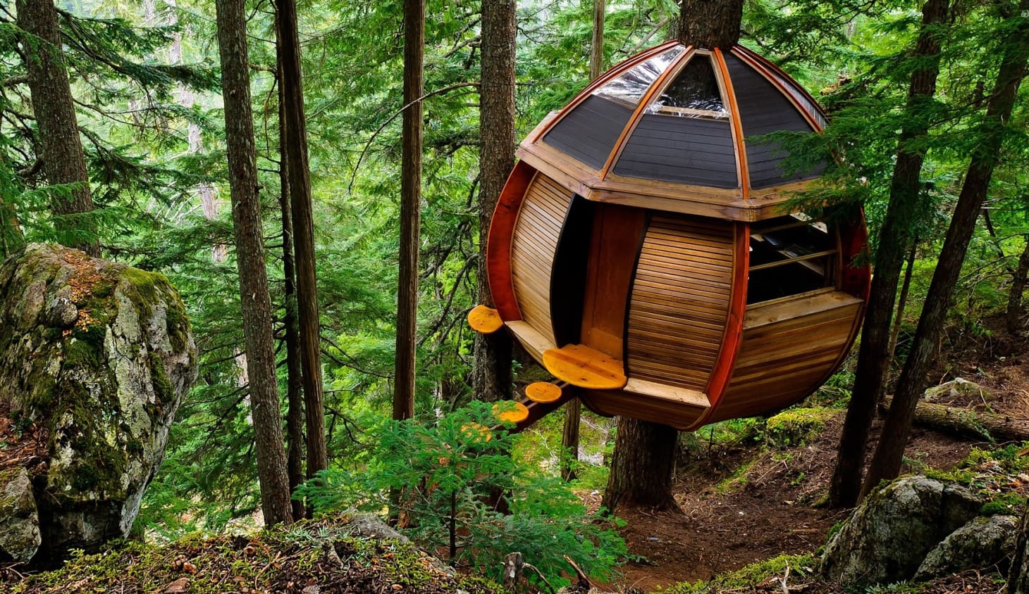  Living  in a Treehouse  7 Places That Fulfill Your Childhood Dream Apartment Therapy
