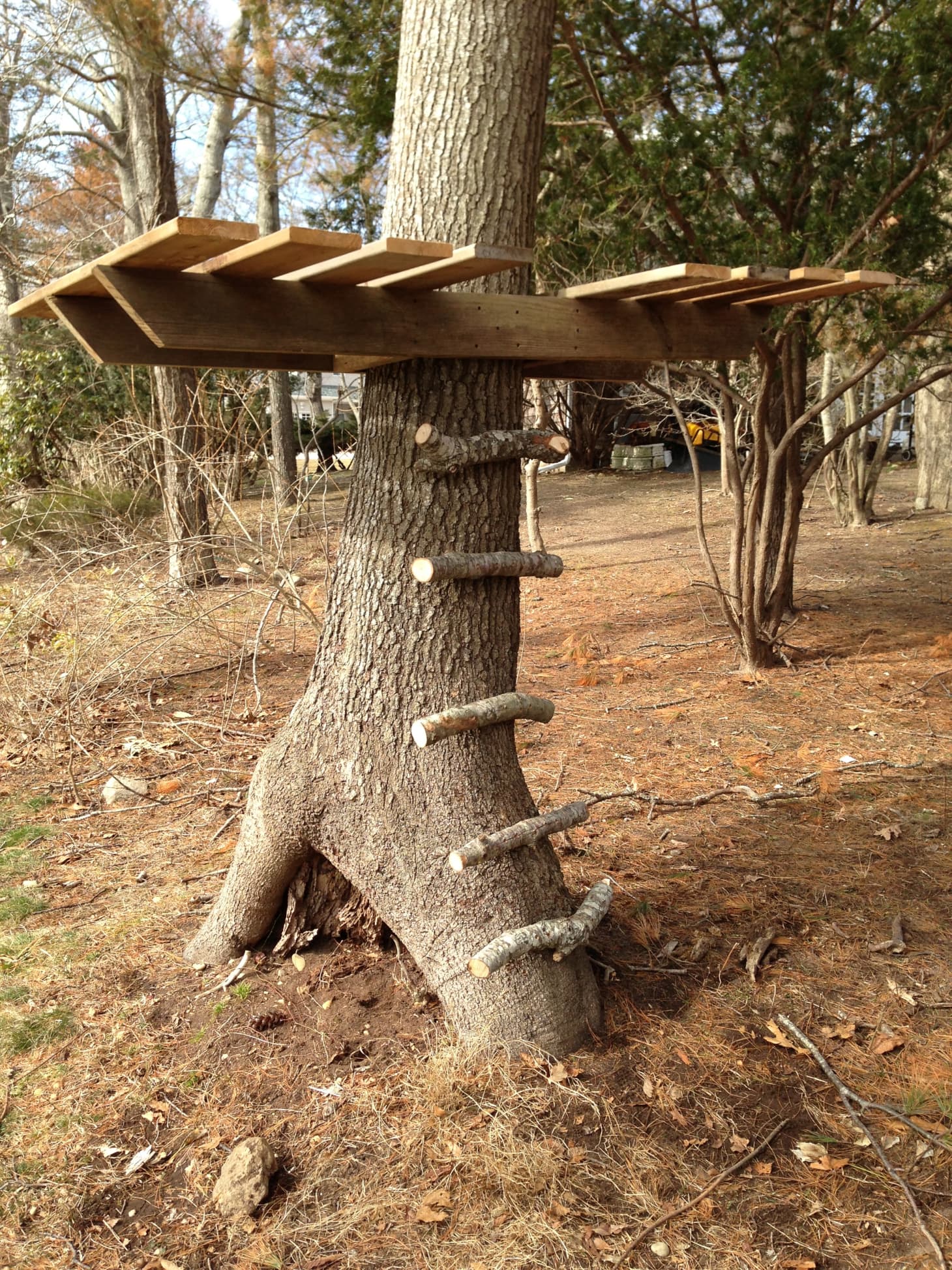 How To Build A Treehouse Apartment Therapy