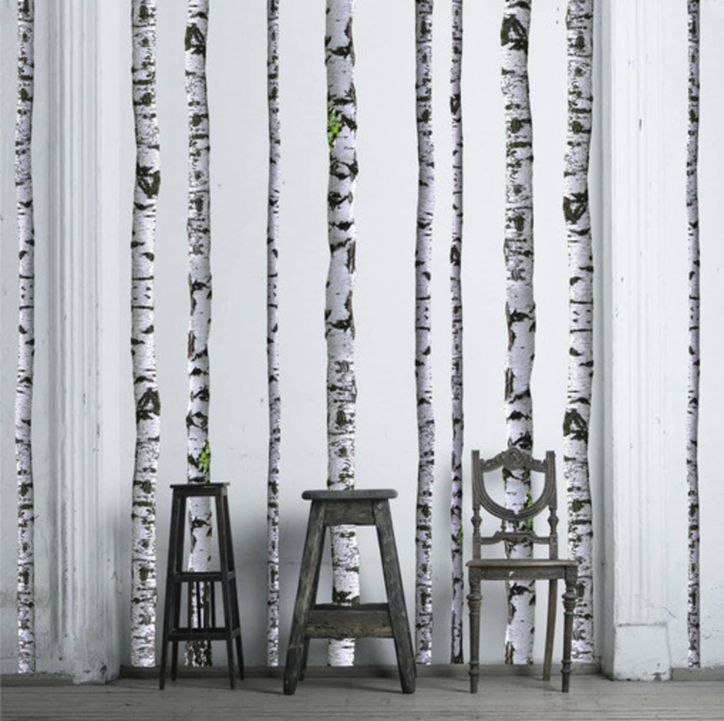 10 Excellent Sources For Buying Birch Tree Wallpaper Apartment