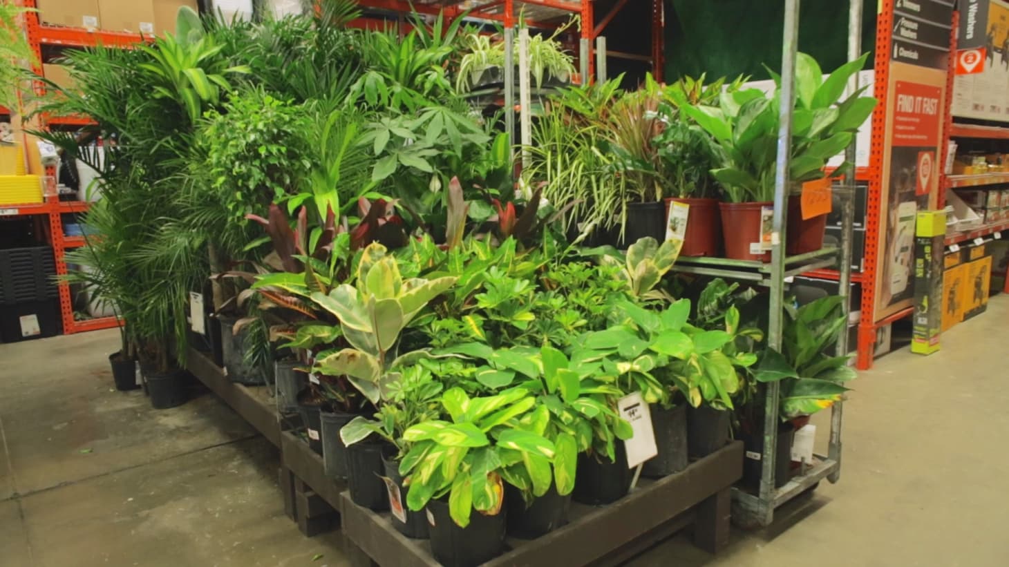 Home Depot Shopping Tips Apartment Therapy