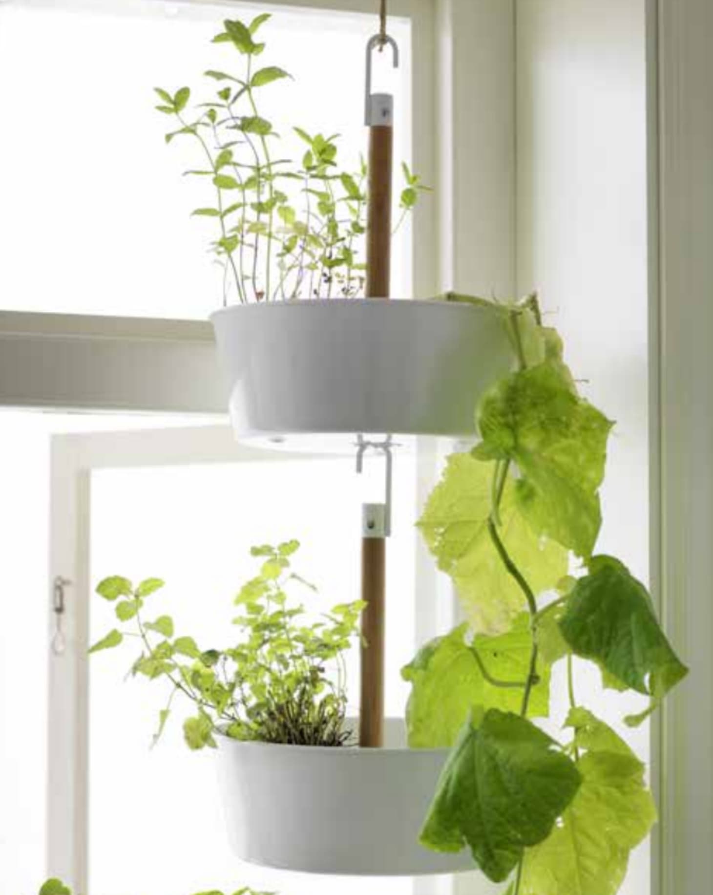 First Look 9 Great IKEA Plant & Garden Finds for Summer 2015 Apartment Therapy
