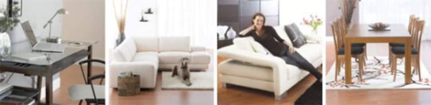 Dania Furniture Opens New Algonquin Store Apartment Therapy