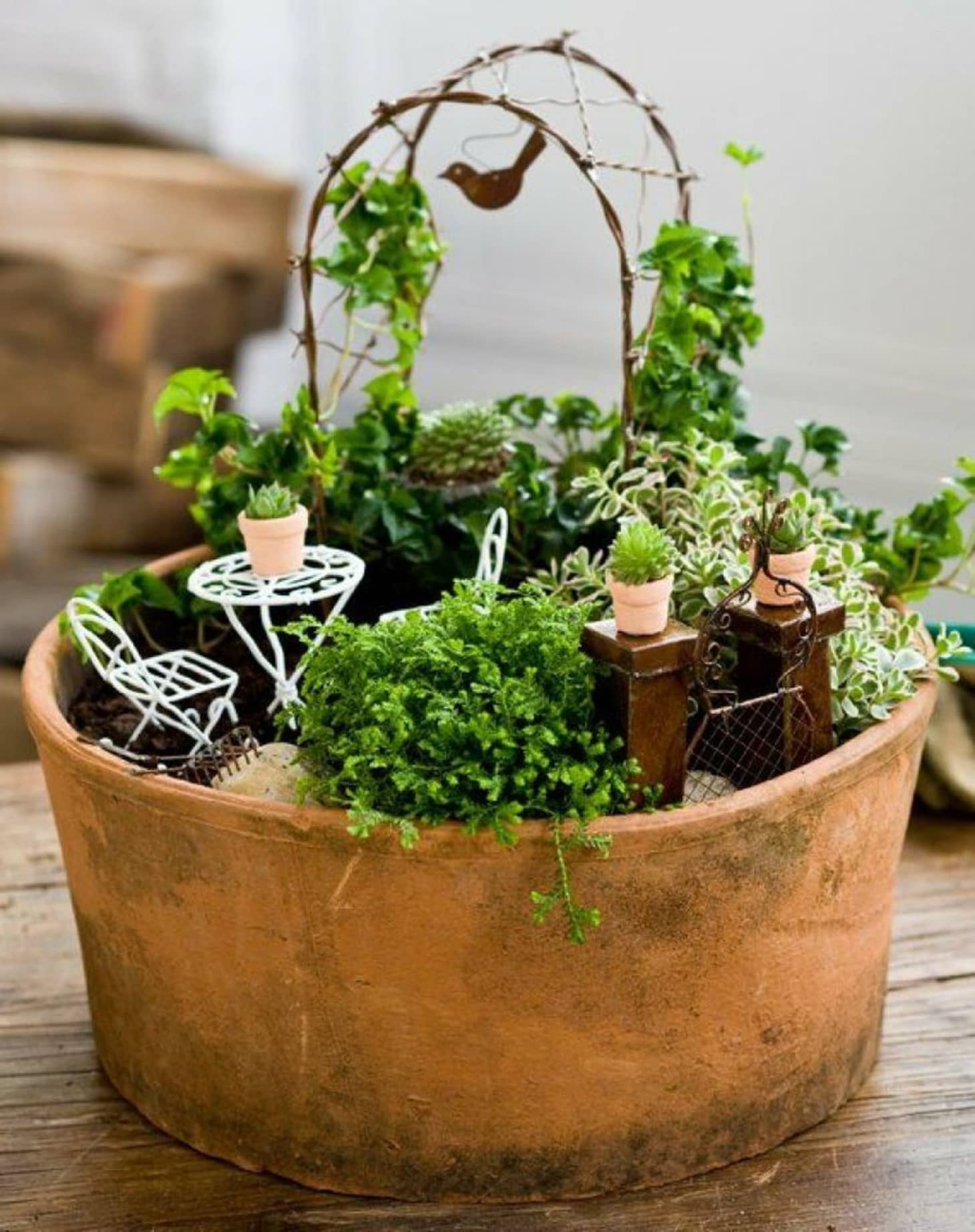 Fairy Garden Ideas Supplies Kits Containers Apartment Therapy