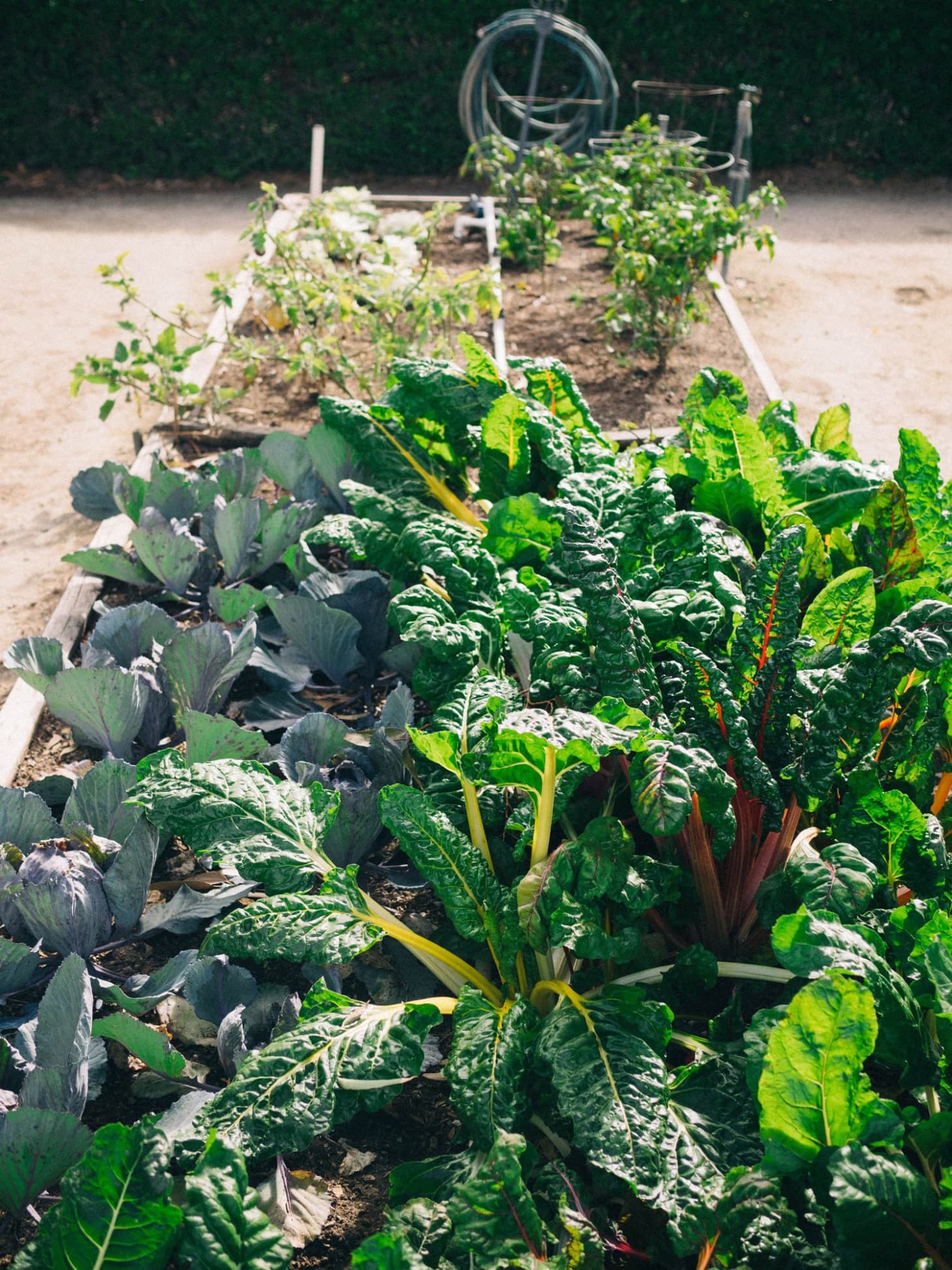 Planning Your Planting Tips for Making a Garden Plan